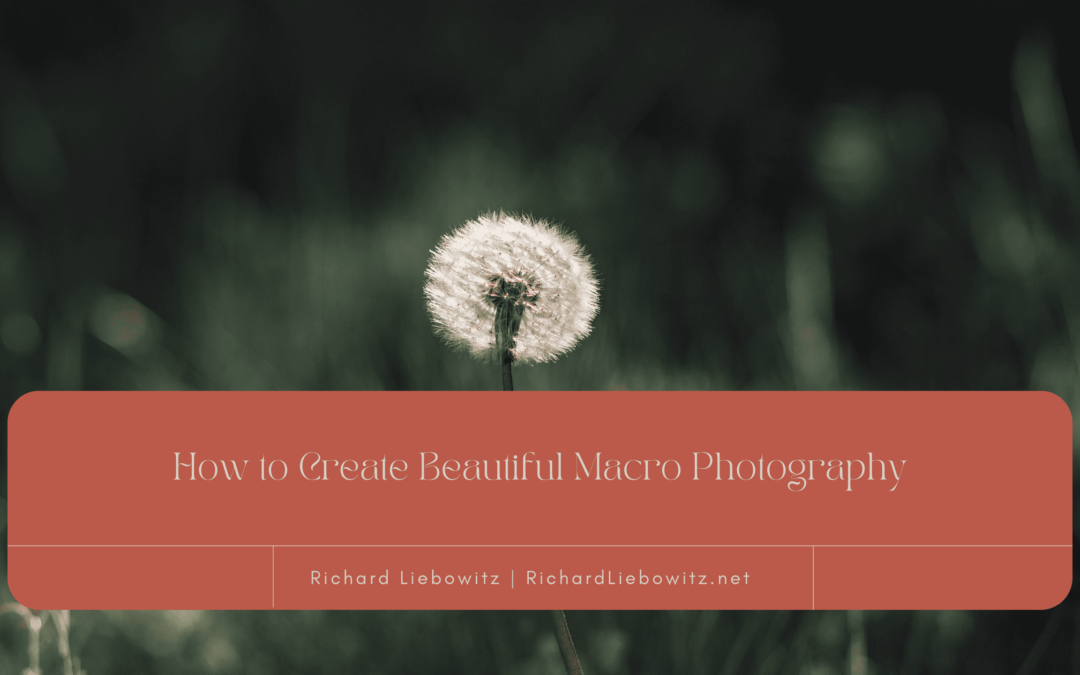 How to Create Beautiful Macro Photography
