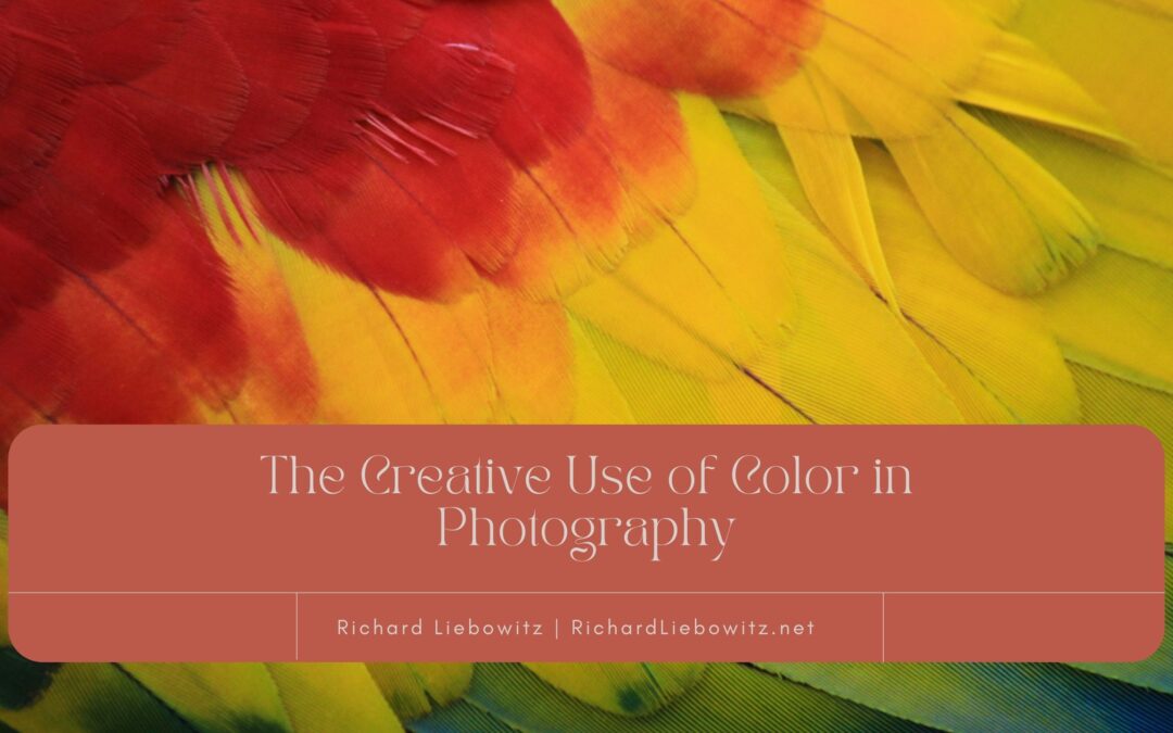 The Creative Use of Color in Photography